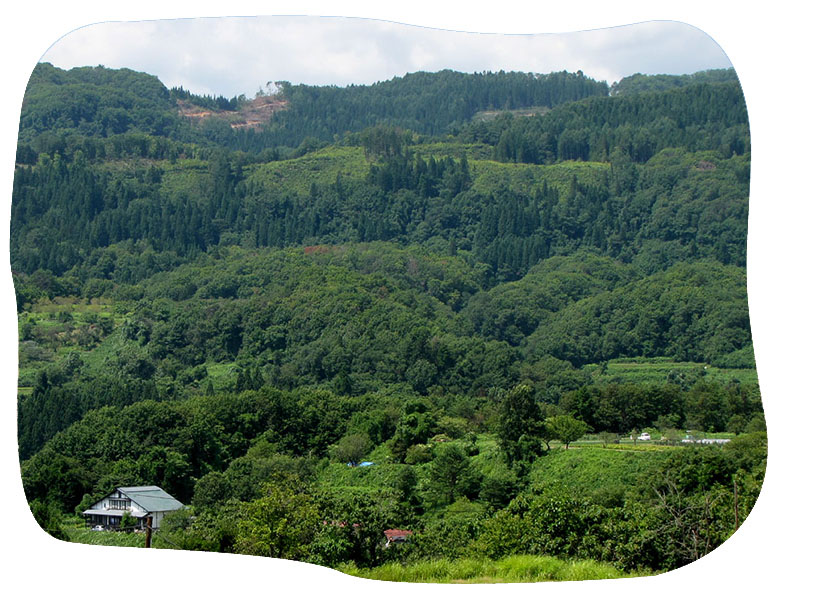 山形山農場、静心荘は里山に抱かれている