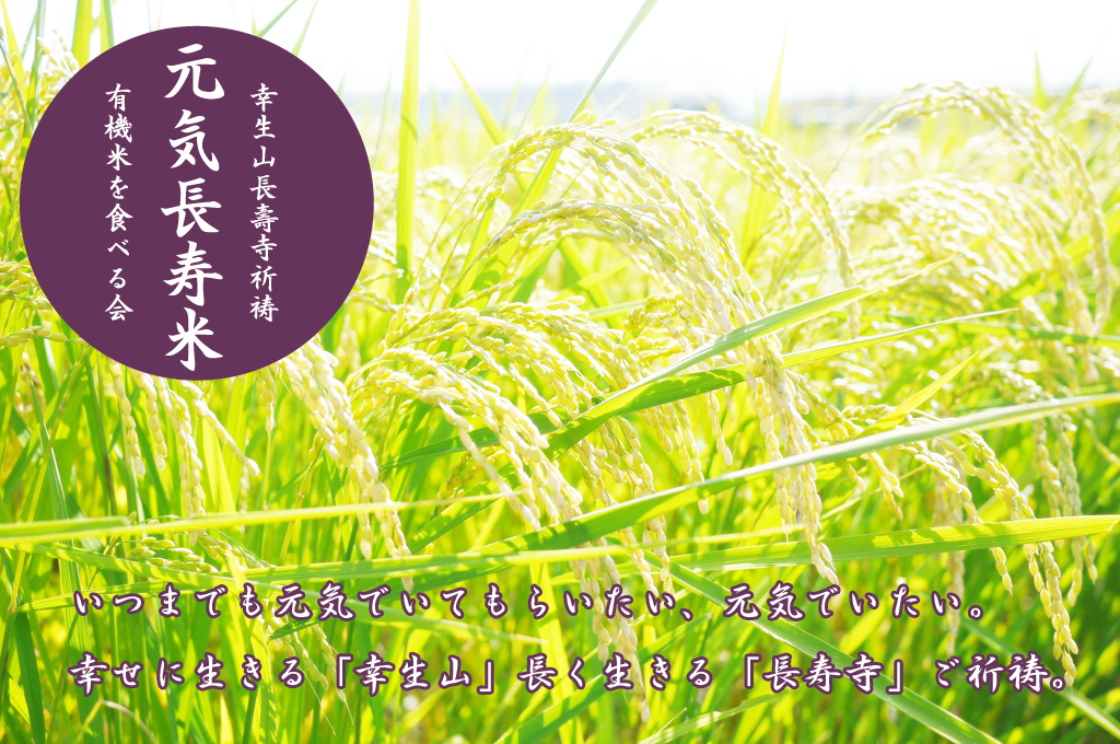 ���C�����āE�R�`95��