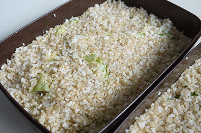 玄米麹漬けの作り方