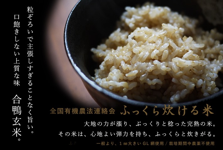 無農薬玄米のご案内