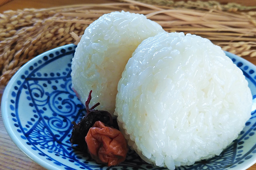 2023年産　日本一の大粒米】「やまがたいのちの壱」　の通販｜「tuchinokoe」おすすめの無添加・オーガニック食品