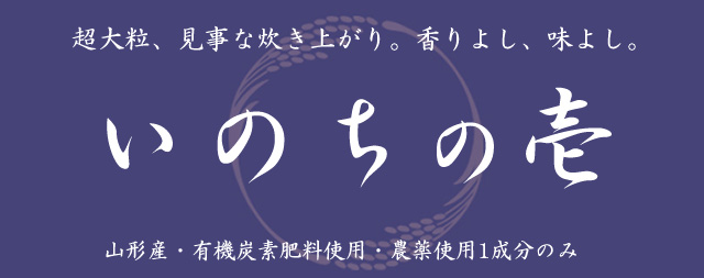 日本一の大粒米】「やまがたいのちの壱」玄米　2023年産　の通販｜「tuchinokoe」おすすめの無添加・オーガニック食品