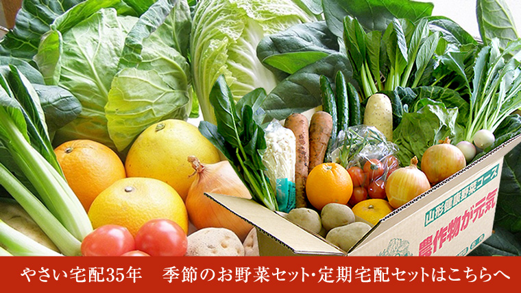 旬の有機野菜や果物の詰め合わせを宅配でお届け
