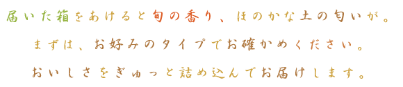 JƖ؂̍肪ςI