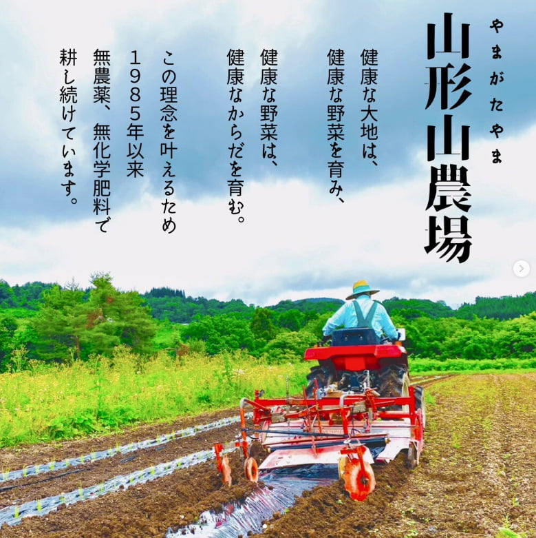 山形山農場
