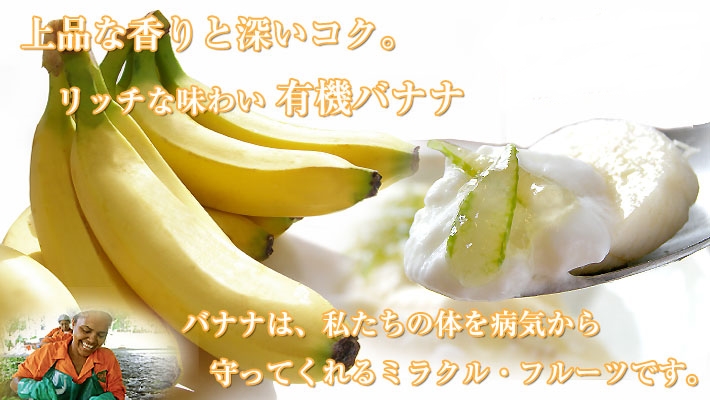 オーガニックバナナ（南米産）450g　の通販｜「tuchinokoe」おすすめの無添加・オーガニック食品