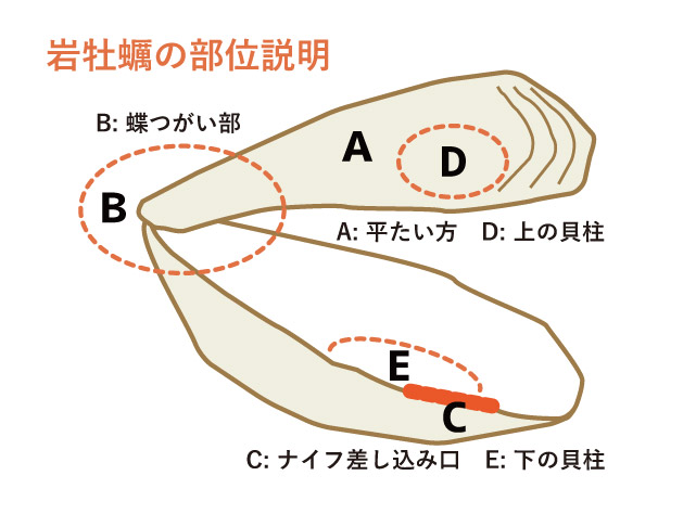 方 食べ 付き 殻 牡蠣 殻付き牡蠣の正しい食べ方は？食べ放題のお店や新鮮牡蠣のオススメ地域をご紹介！ [食べログまとめ]