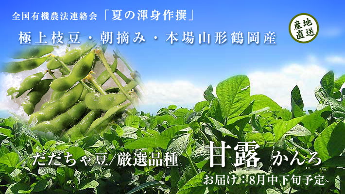 ��������Ʀ����