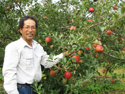 Kʎ