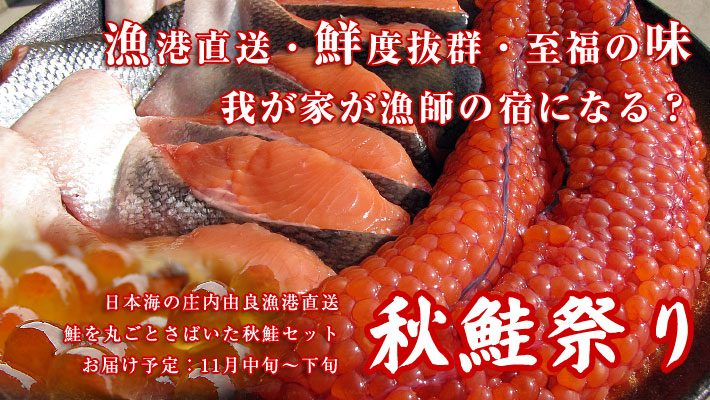 鮮度抜群のイクラたっぷりの秋鮭