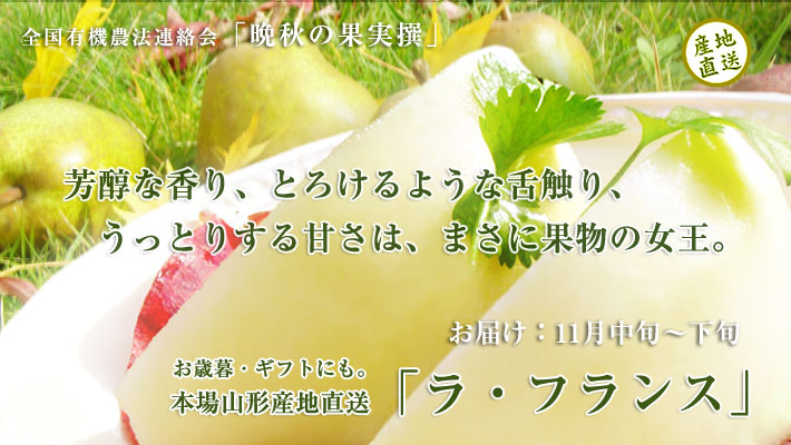 tX̒ʔ