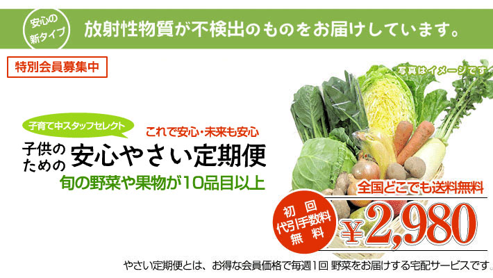 子供のための安心やさい定期便 不検出の野菜だけをお届けします